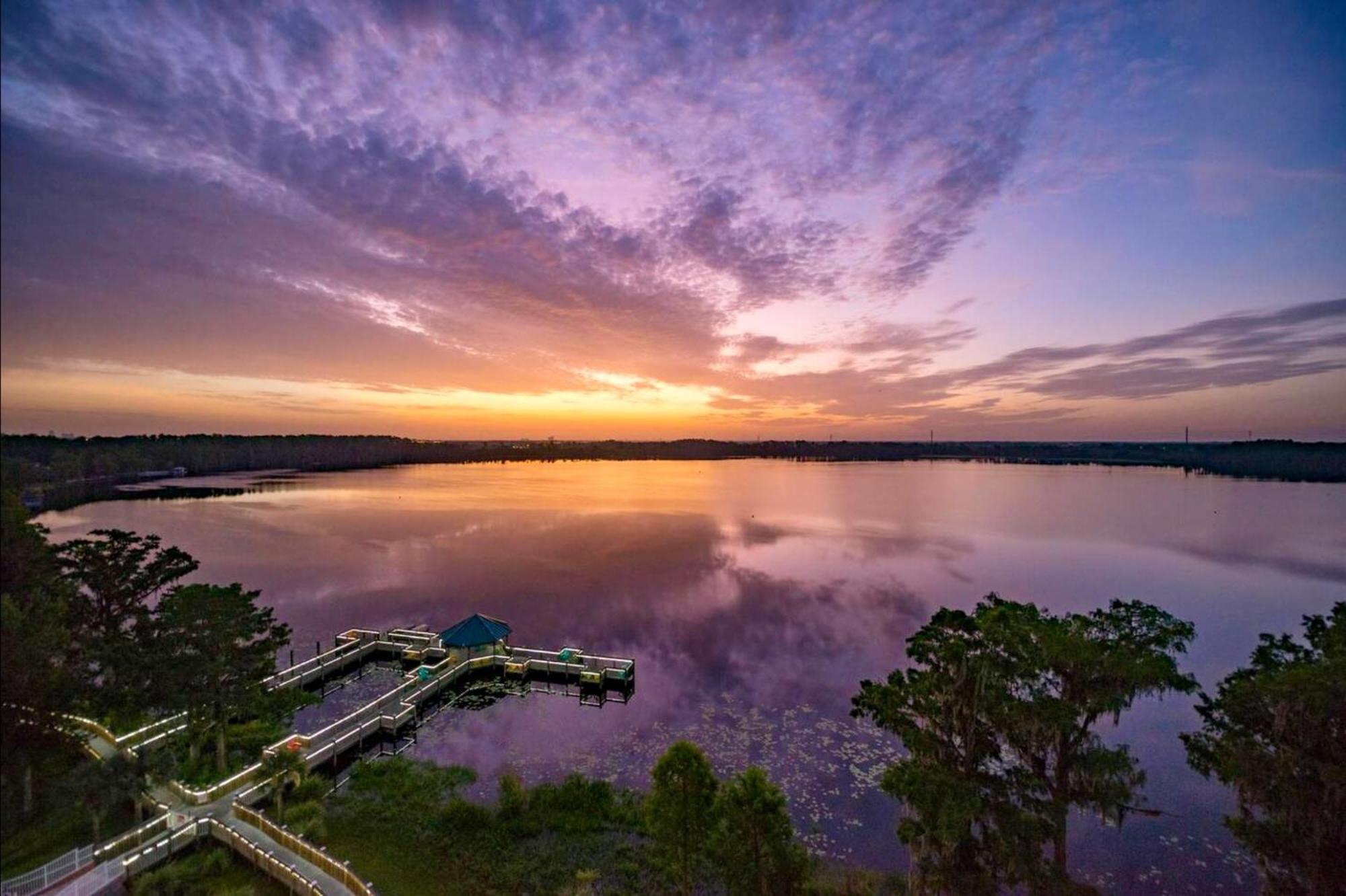 Balcony King Suite - Lake & Pool View ออร์ลันโด ภายนอก รูปภาพ